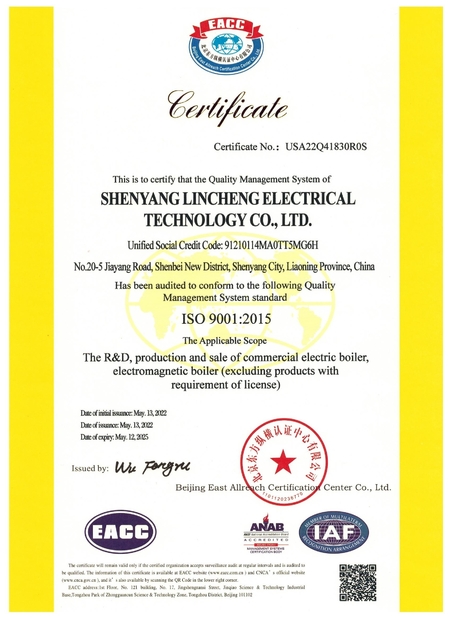 China shenyang lincheng Technology Co., Ltd Certificações